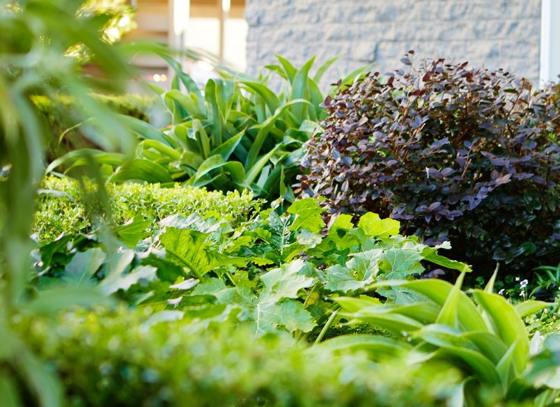 Wollstonecraft Apartments