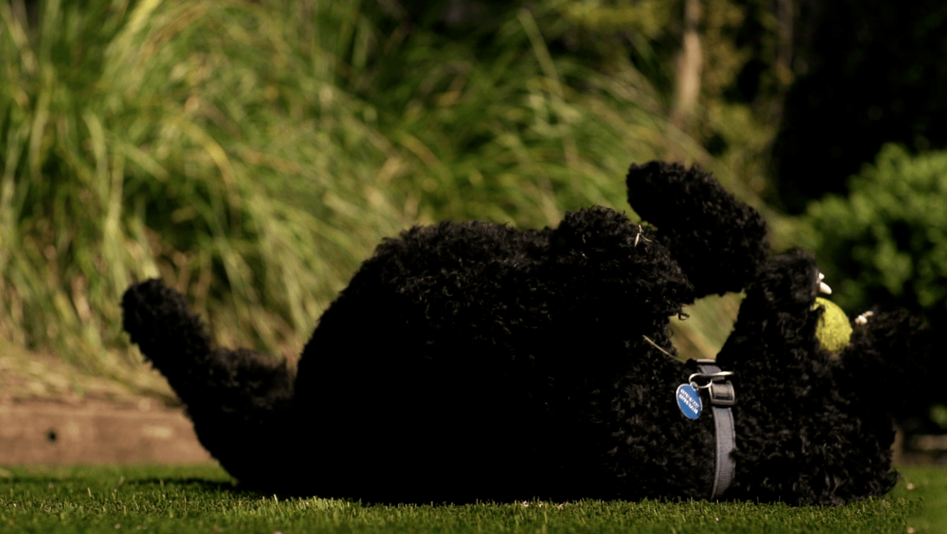 Urban Upgrade in Merivale banner