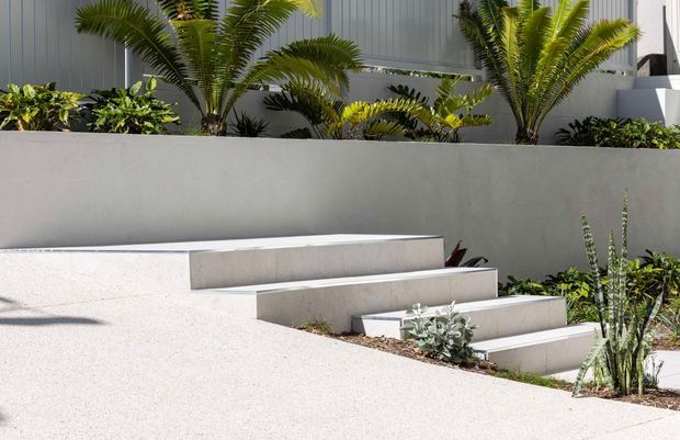 A minimalist landscaped exterior with broad pale concrete paving, stepped concrete retaining walls and integrated stair seating. Tropical palms and low-maintenance planting border a contemporary grey-clad building, creating a clean, geometric approach or courtyard landscape.
