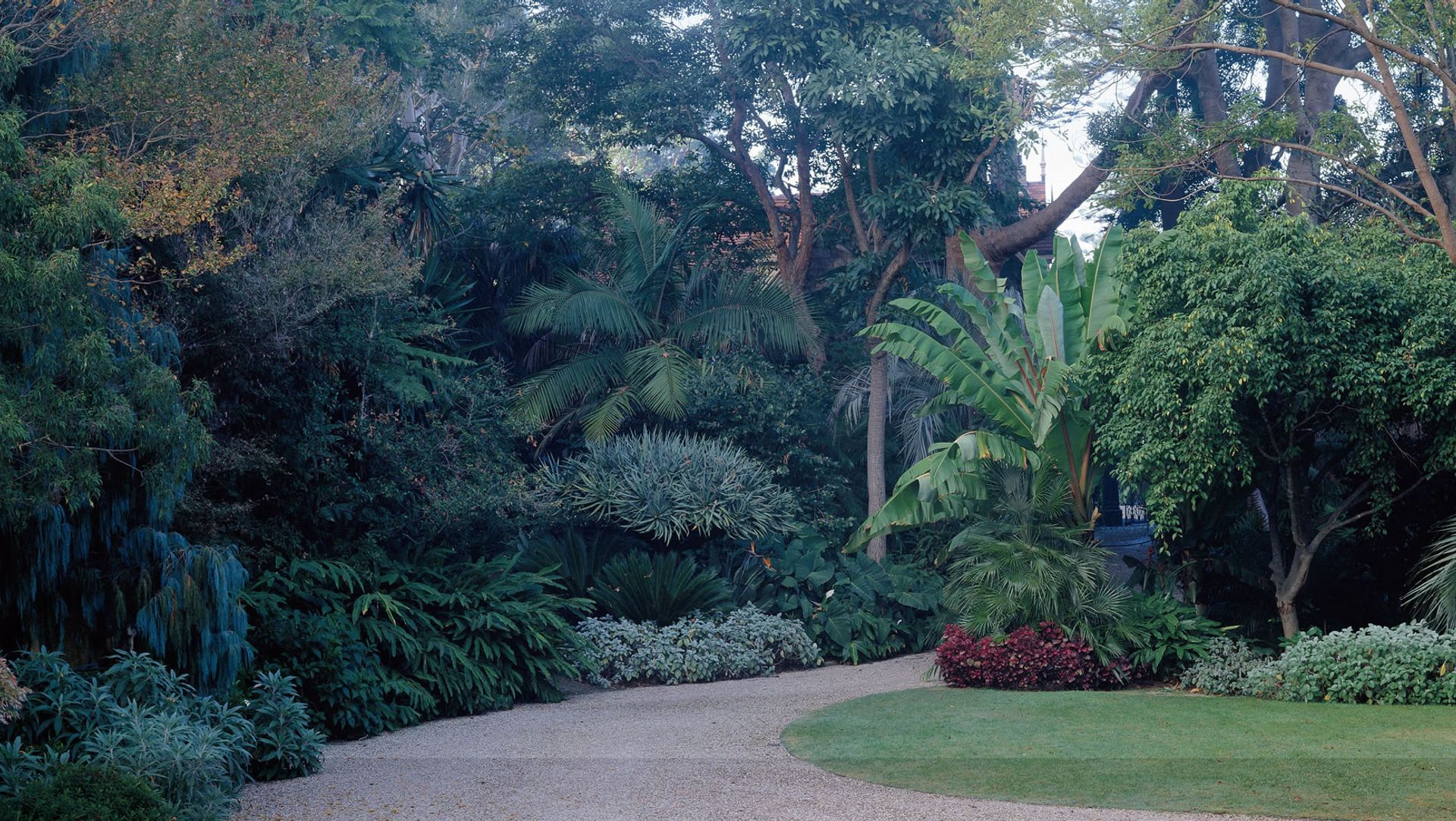 Bellevue Hill - 3 banner