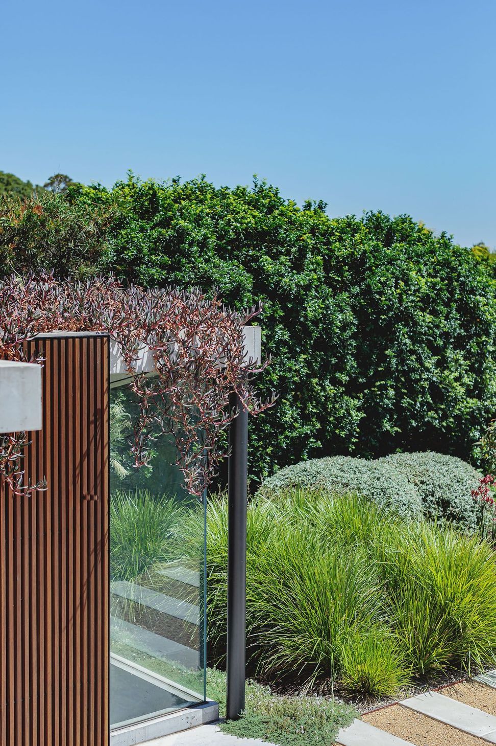 Bellevue Hill
