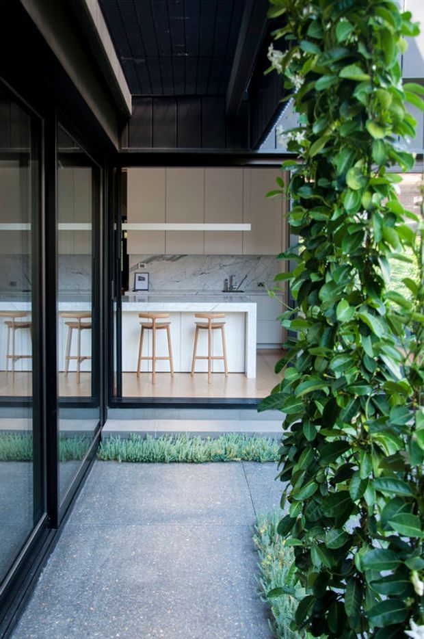 View through black-framed glazed doors into a contemporary kitchen, with a white marble-look splashback and benchtop, pale cabinetry, a white island with timber stools, and a sheltered outdoor passage lined with lush climbing greenery. Dark overhead cladding and concrete paving create a strong modern indoor-outdoor connection.