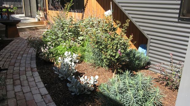 A landscaped courtyard beside a contemporary building, featuring a curved brick-paved walkway, dense low-maintenance planting, timber decking, and a corrugated metal-clad wall with timber screening and dark-framed windows. The garden has a warm, informal, natural character.