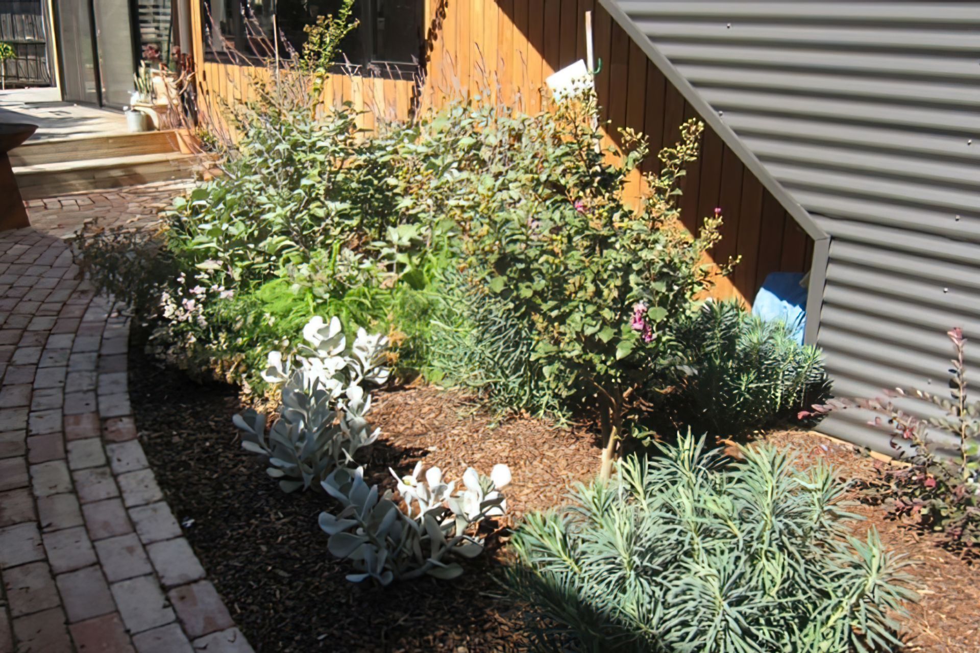 AFTER the garden design. A diversity of plantings make an an appealing display along the house to the deck