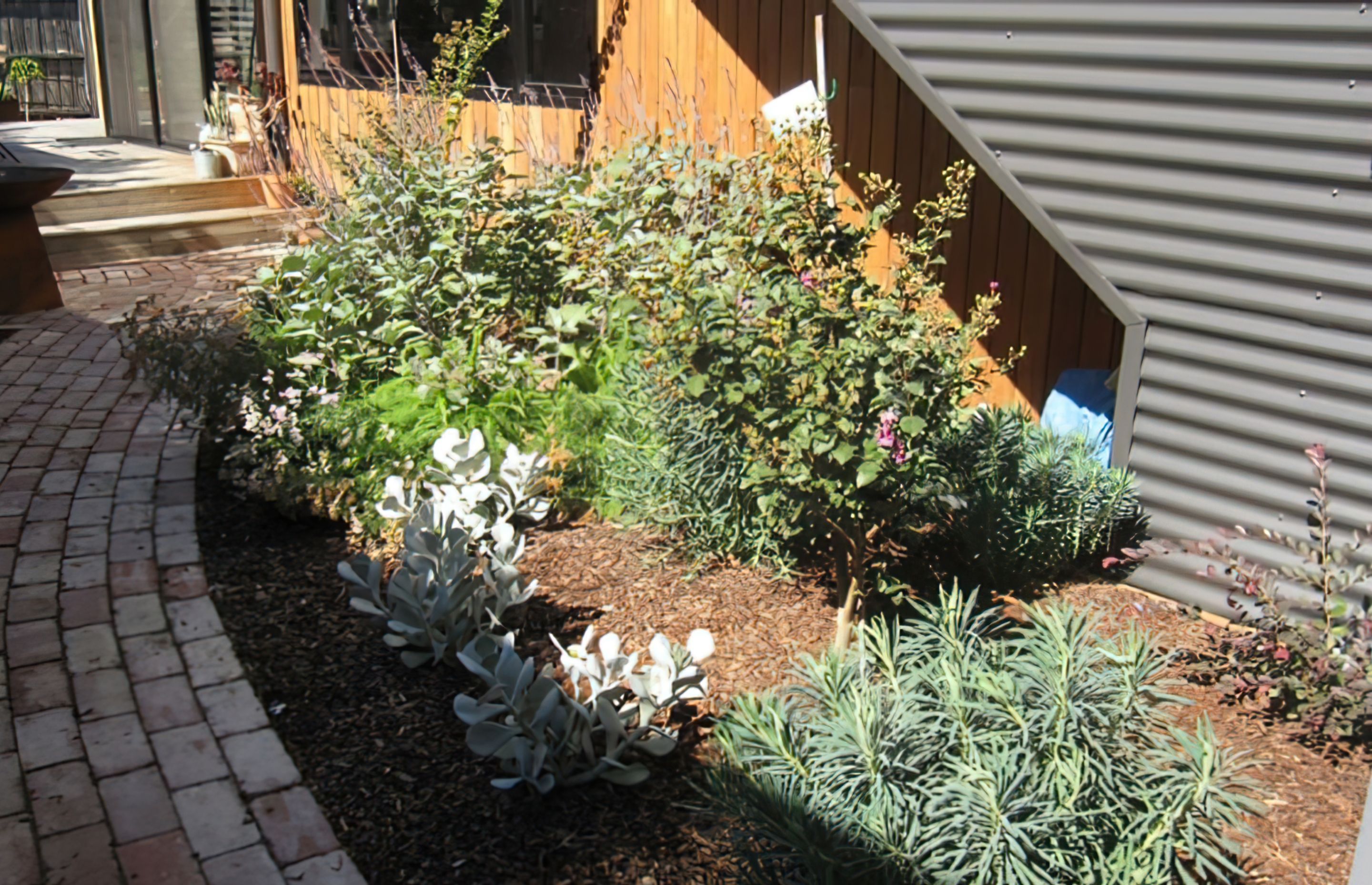 AFTER the garden design. A diversity of plantings make an an appealing display along the house to the deck