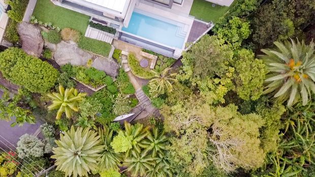 Aerial view of a landscaped residential property surrounded by dense tropical and subtropical vegetation. A contemporary flat-roofed building is partially visible at the top, with a rectangular light-blue swimming pool, paved pool terrace, lawn, stone landscaping, and winding garden paths.