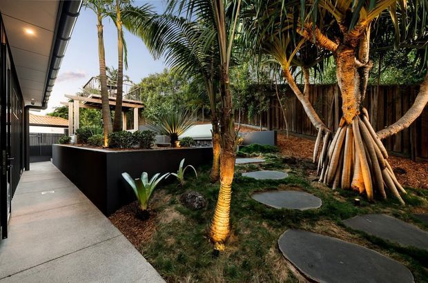 A landscaped courtyard garden viewed beside a modern building, featuring tropical palm trees, raised dark planter beds, a timber privacy fence, and irregular dark stepping stones through lawn and mulch. A covered walkway and large dark-framed glazing line the building on the left, with a small tiled-roof structure visible beyond.