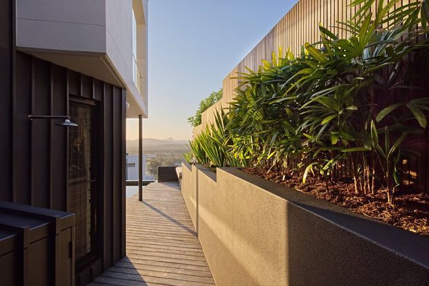 A narrow timber-decked outdoor walkway beside a contemporary building, bordered by a raised rendered planter filled with dense tropical-style planting and backed by a vertical timber screen. Dark exterior cladding, glazing, and a slim wall-mounted light line the building side, with a distant elevated landscape visible beyond.