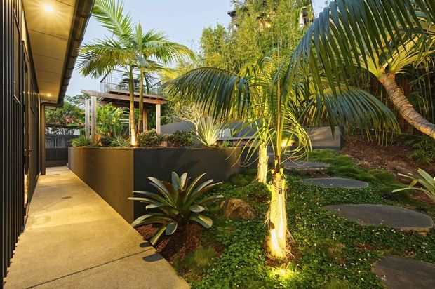 A landscaped tropical outdoor passage beside a dark modern building, with a warm concrete walkway, raised planter, dense palm planting, low garden groundcover, stepping stones, and subtle landscape lighting. A timber pergola or sheltered garden structure is visible in the background.