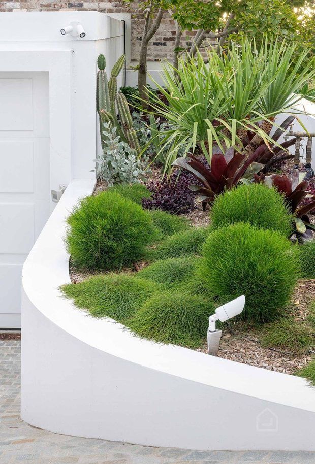 A landscaped courtyard garden beside a white rendered structure, featuring curved raised planter walls, ornamental grasses, yucca-like foliage, succulents, cacti, and burgundy bromeliads. A brick wall and paved surface form the backdrop, with discreet white garden uplights integrated into the planting.