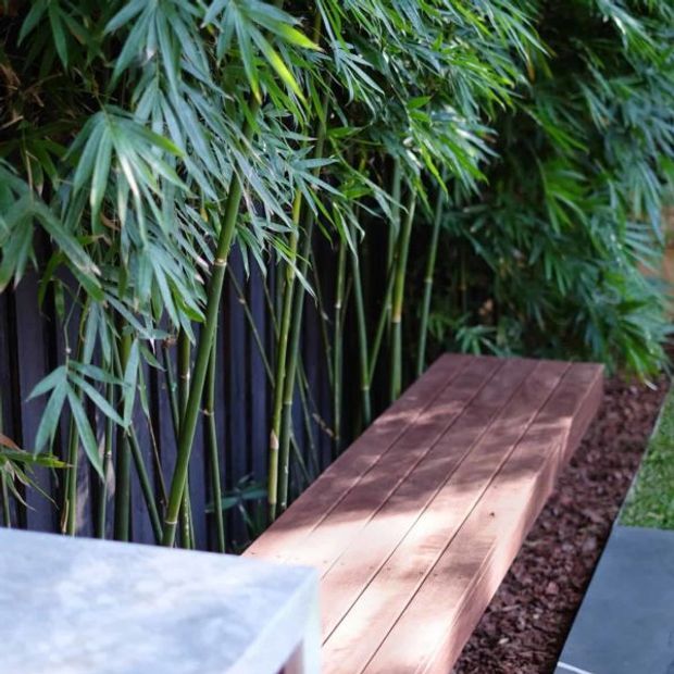 A lush landscaped outdoor area featuring a long timber bench or narrow deck beside dense bamboo planting. Dark vertical screening and mulch create a secluded garden setting, with partial grey paved or concrete surfaces visible in the foreground.