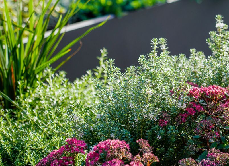 Agnes Street | East Melbourne