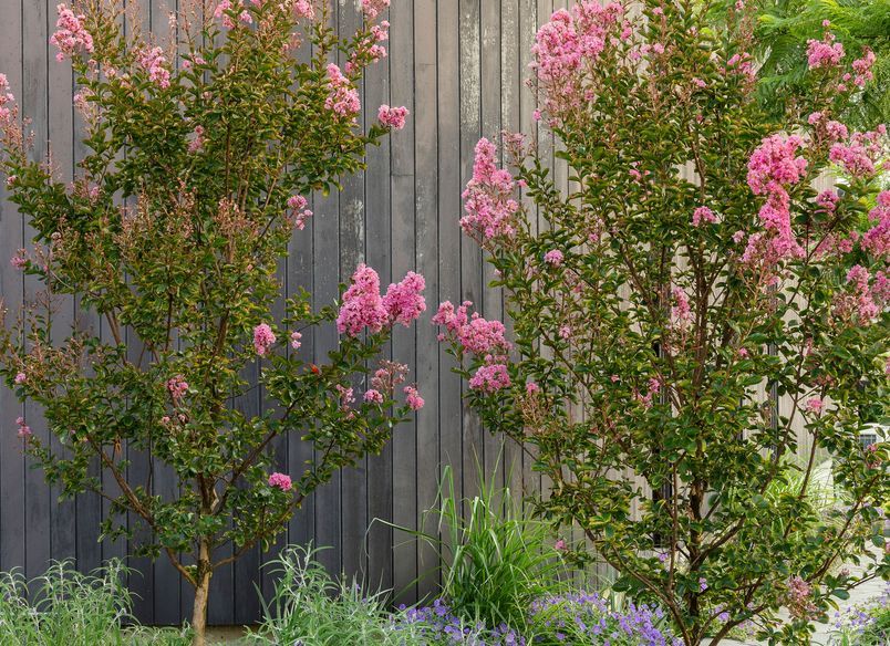 View Court | Brighton