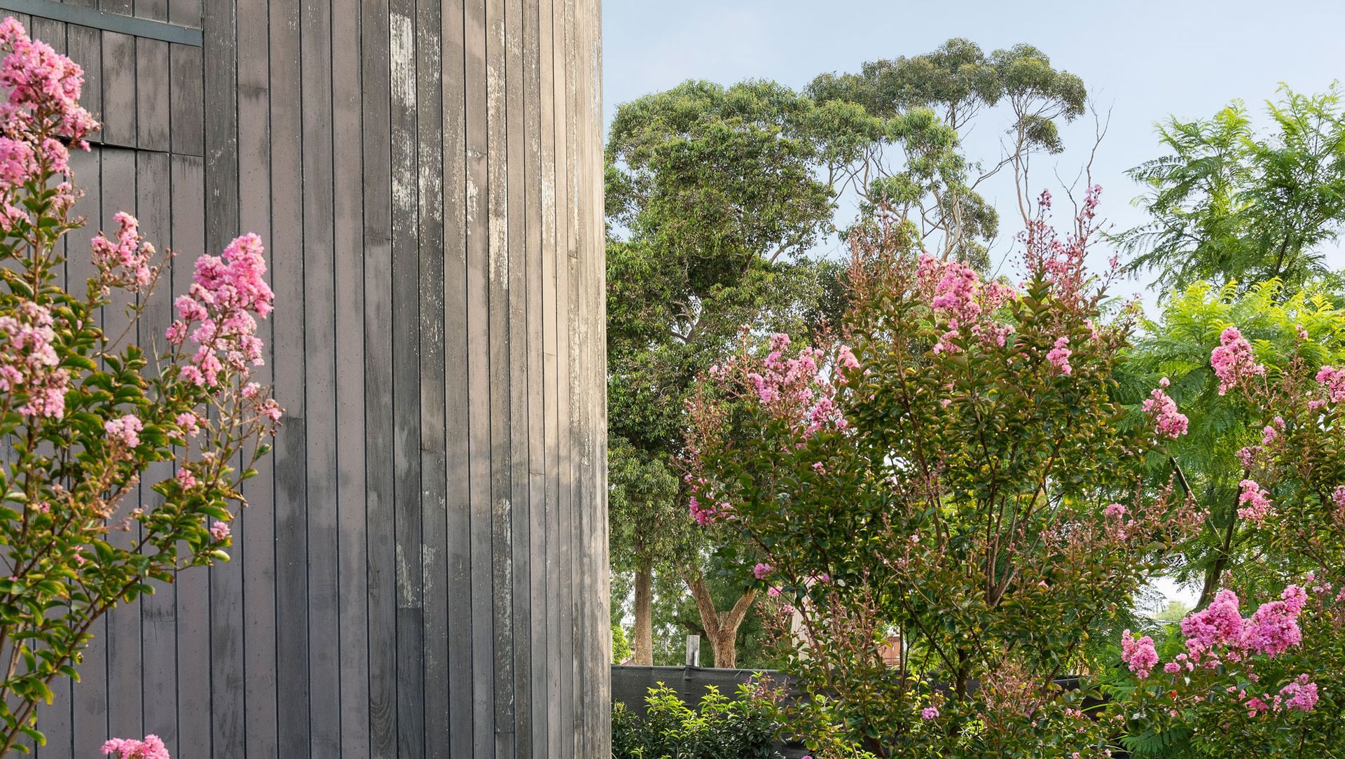 View Court | Brighton banner