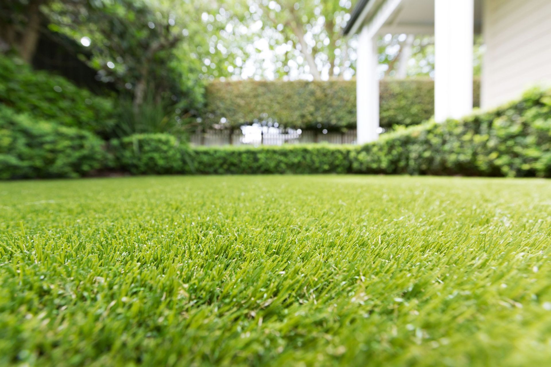 Grey Lynn Residence 2