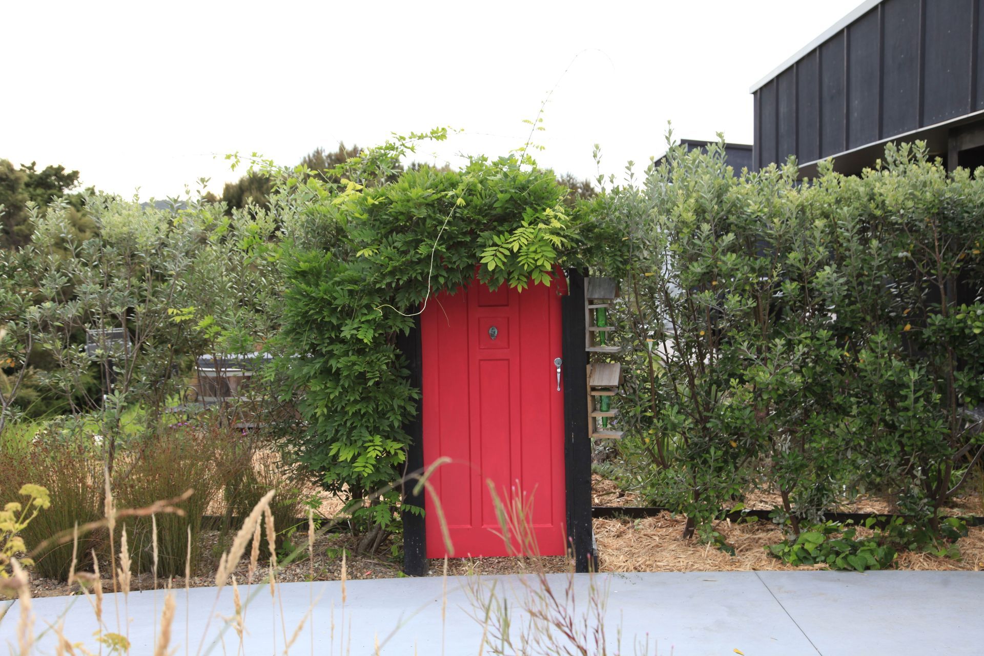 Resene Geronimo feature garden door, rescued from a reclamation yard.