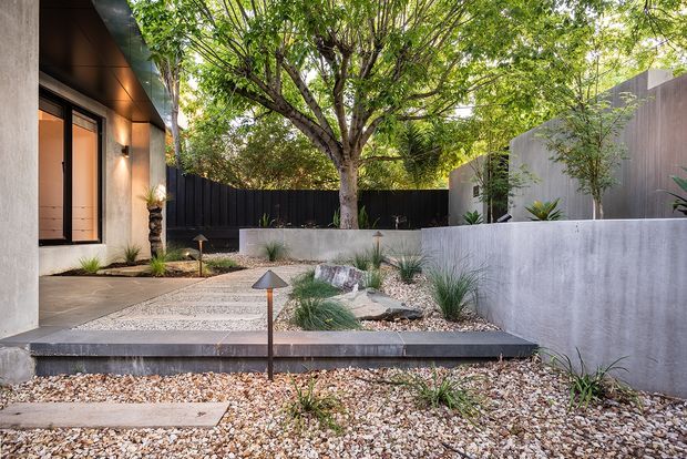 A landscaped modern residential courtyard and entry garden with a textured concrete walkway, gravel ground cover, layered raised concrete planters, ornamental grasses, rocks, and mature trees. The home features dark vertical fencing and cladding, a rendered wall, timber-toned soffit, and a glazed entry door. The design has a restrained, contemporary xeriscape character.