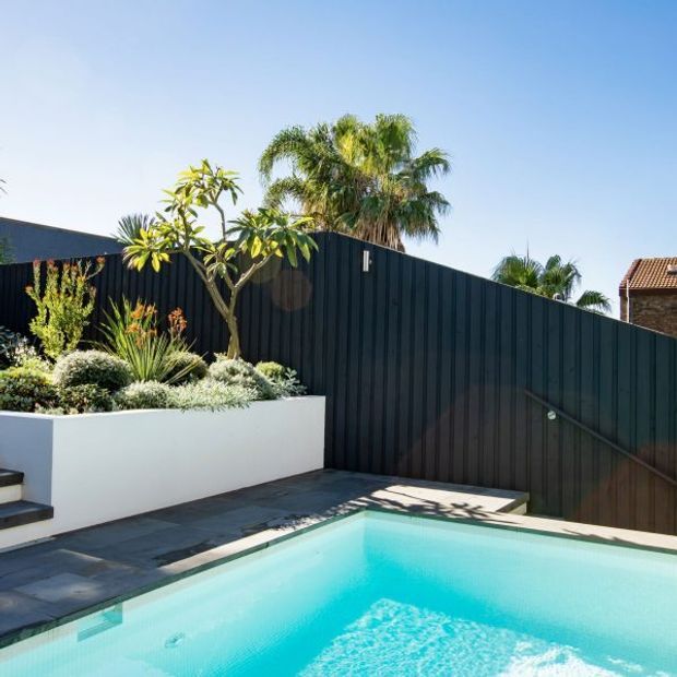 A bright outdoor pool area with a turquoise swimming pool, dark vertical-clad privacy fencing, charcoal paving, and a raised white rendered planter filled with drought-tolerant landscaping. Palm trees and clear blue sky are visible beyond the fence, with a neighbouring tiled roof in the background.