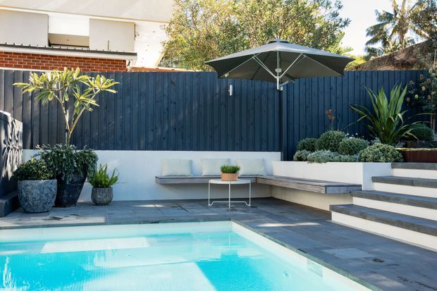 Contemporary outdoor pool terrace with a turquoise swimming pool, dark timber privacy fencing, pale rendered walls, built-in L-shaped bench seating, broad steps, potted plants, and a large dark patio umbrella. The space has a clean, modern resort-like character with strong indoor-outdoor entertaining potential.