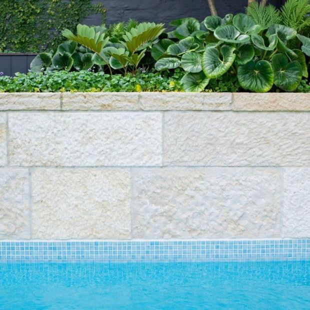 Close-up architectural detail of a swimming pool edge with bright blue mosaic pool tiles, pale textured stone retaining wall, and a densely planted garden bed above. The composition highlights the contrast between the turquoise water, light masonry, and lush green foliage.