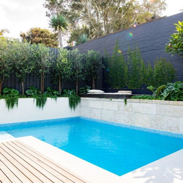 A compact landscaped backyard swimming pool with bright turquoise water, bordered by pale stone retaining walls and a light timber deck. Dense layered planting, clipped trees, architectural succulents and dark painted fencing create a private garden setting, with a built-in low seating area along the rear wall.