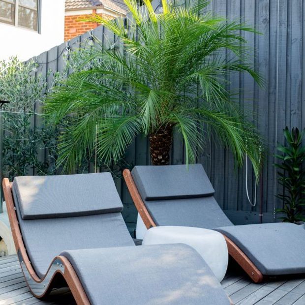 A compact landscaped outdoor relaxation area with several grey reclining chaise lounges arranged on a grey timber deck. A large potted palm and other plants sit against a dark blue-grey vertical timber fence, with part of a brick-and-white residential building visible beyond.