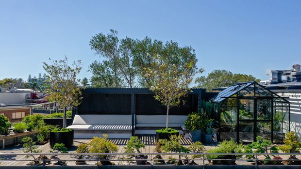A sunny rooftop or elevated outdoor terrace with a landscaped garden, raised planter beds, potted trees and shrubs, a built-in outdoor seating area against a dark privacy screen, and a glass-framed greenhouse or conservatory structure. A contemporary building edge and neighbouring rooftops are visible in the background.