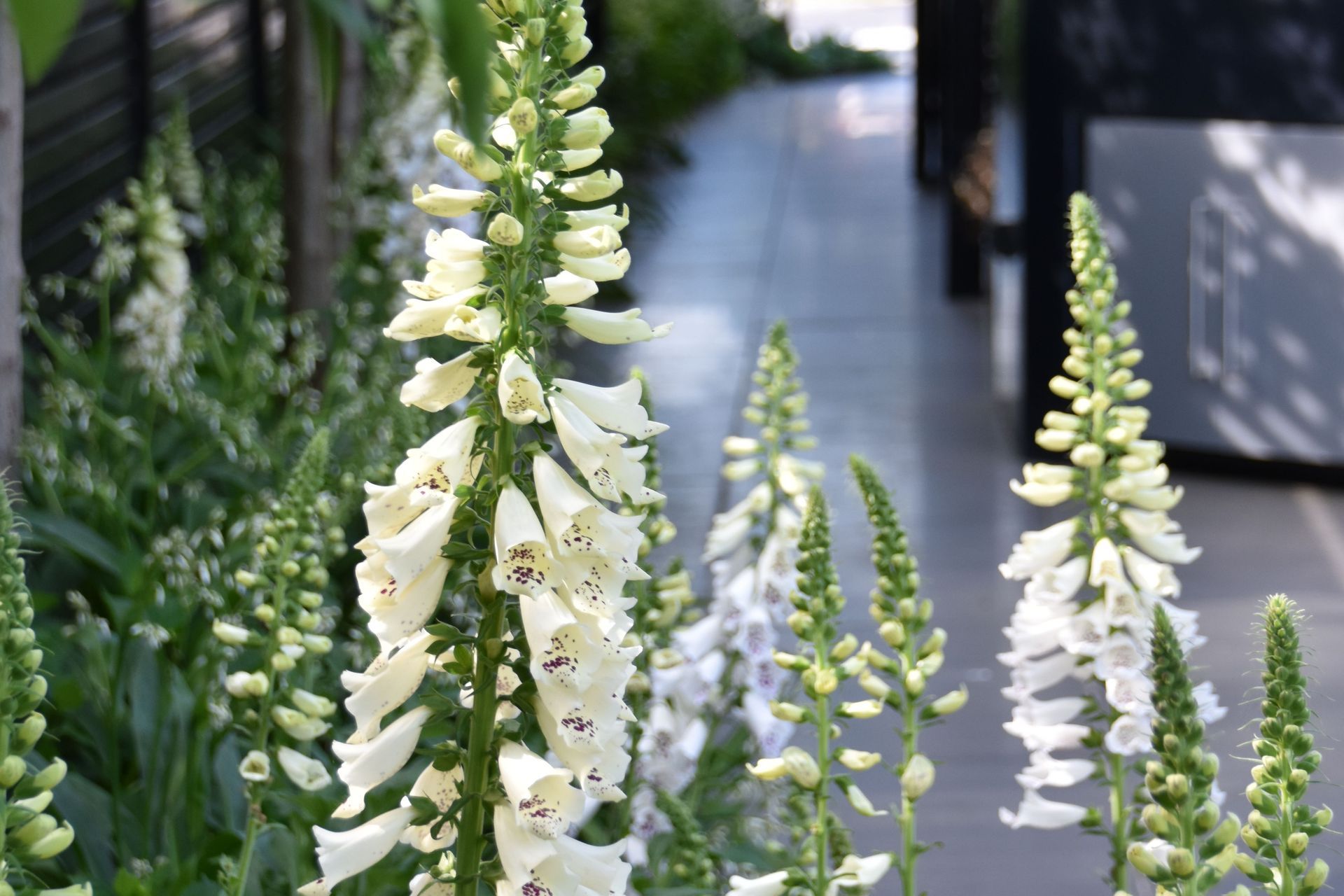 Photography: Meg Geary