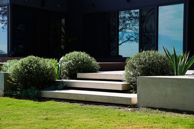 Exterior view of a contemporary dark-clad home entry, featuring broad pale concrete steps, a raised concrete planter, clipped rounded shrubs, and architectural spiky planting. Large dark-framed windows and doors open onto the landscaped front approach.