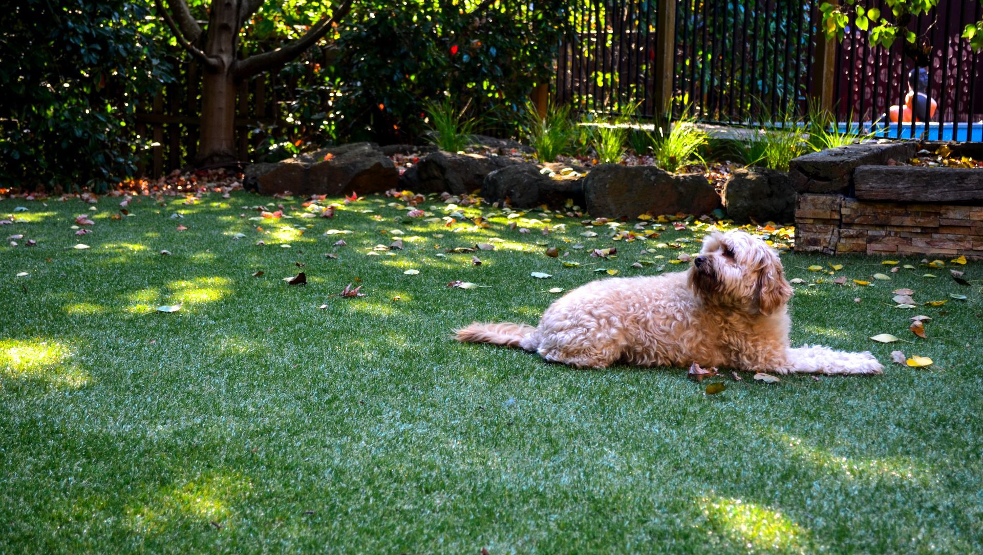 Private landscape project in Plenty banner