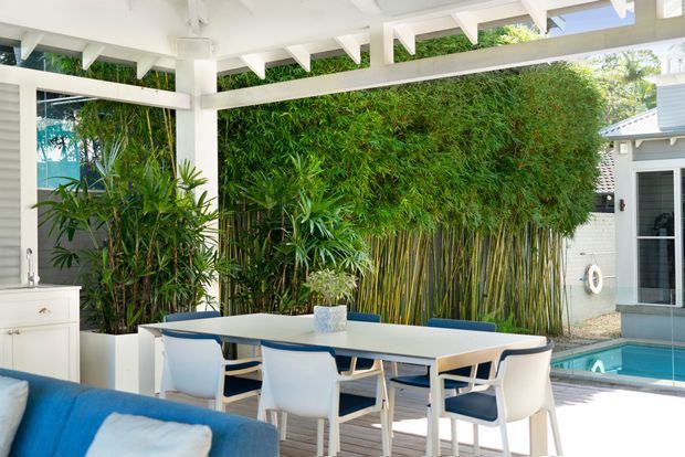 Bright covered outdoor dining and lounge area beside a swimming pool, featuring a white exposed-beam pergola, white dining table and chairs, lush bamboo screening, built-in cabinetry, and a partial view of an adjoining house.