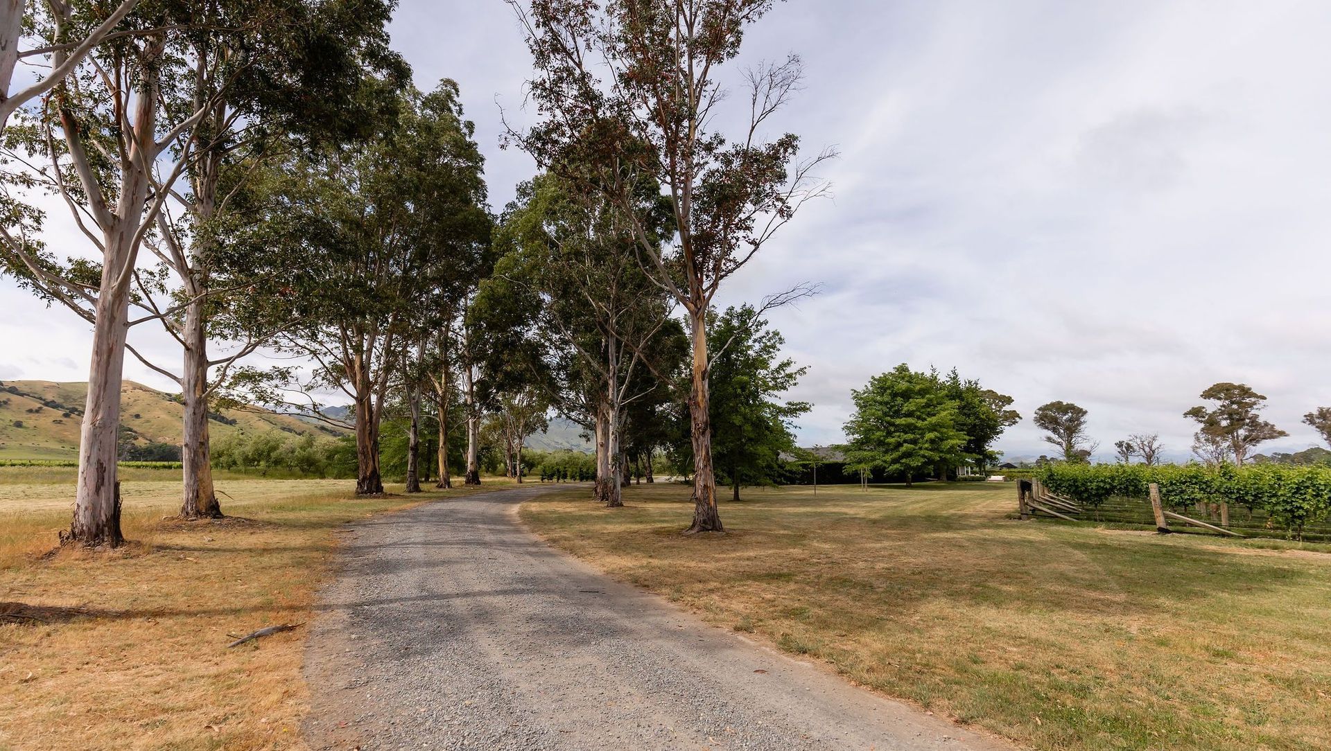 Country Garden banner