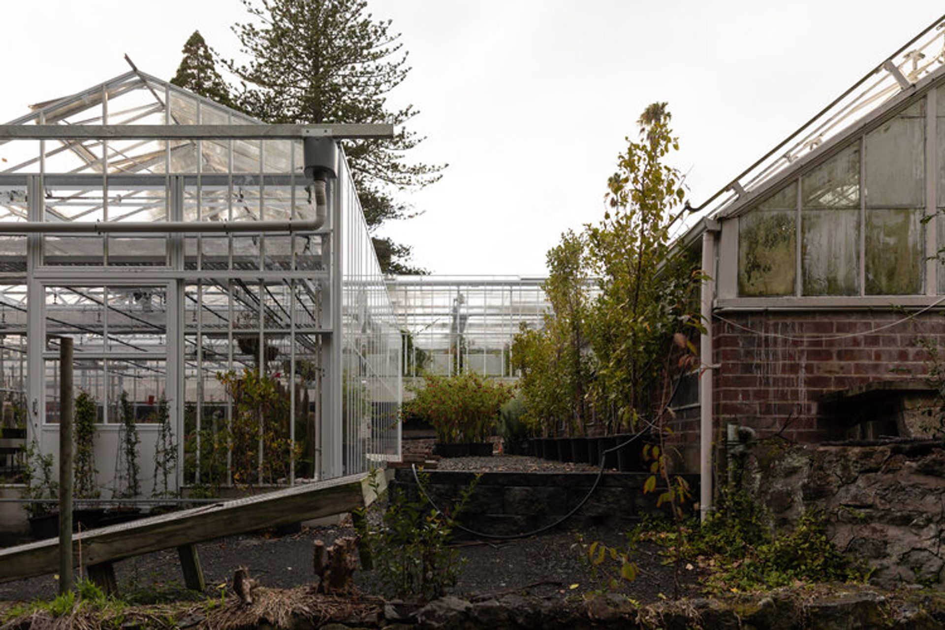 Domain Glass Houses
