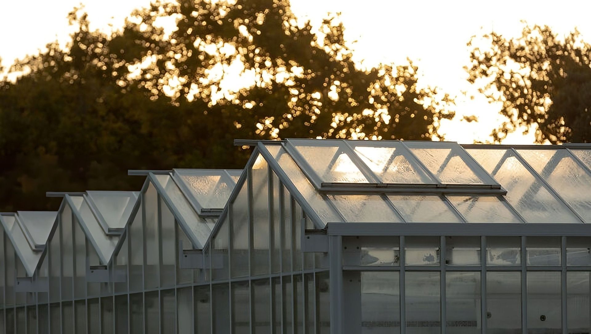 Domain Glass Houses banner