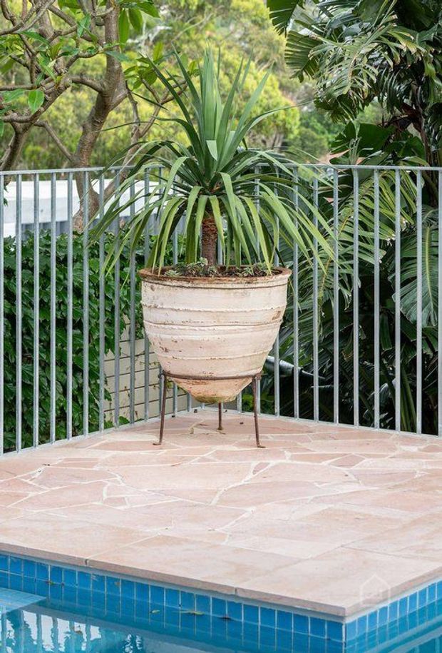 A lush outdoor poolside terrace with a large potted tropical plant on a metal stand. The terrace is paved with irregular pale terracotta-toned stone, bordered by a simple vertical metal balustrade, and overlooks dense greenery. The bright blue tiled swimming pool is visible in the foreground.
