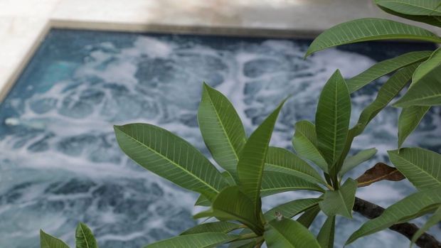 Close-up view of a bubbling spa or hot tub with dark edging, partially obscured by lush green tropical foliage in the foreground. The water feature dominates the image and creates a tranquil outdoor setting.