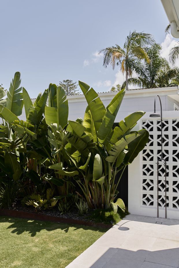 A bright tropical exterior courtyard or garden area beside a white rendered building. Dense banana plants and palm trees fill a landscaped planting bed, with a white decorative breeze-block wall and outdoor shower visible near a pale paved walkway. The scene has a clean, resort-like mid-century tropical character under a clear blue sky.