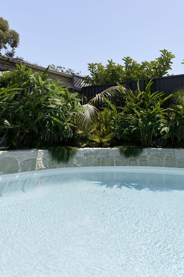A bright outdoor pool area with pale blue water in the foreground, a low irregular stone retaining wall, dense tropical planting, and a dark vertical privacy fence. A low residential structure is partially visible behind the foliage under a clear sky.