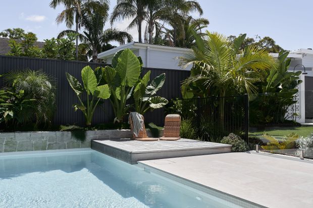 A tropical landscaped pool area with a pale blue swimming pool, broad light paving, and a raised tiled platform with woven outdoor seating. Dense palms and large-leaf planting sit behind a dark vertical slatted fence, with a light modern building visible beyond.