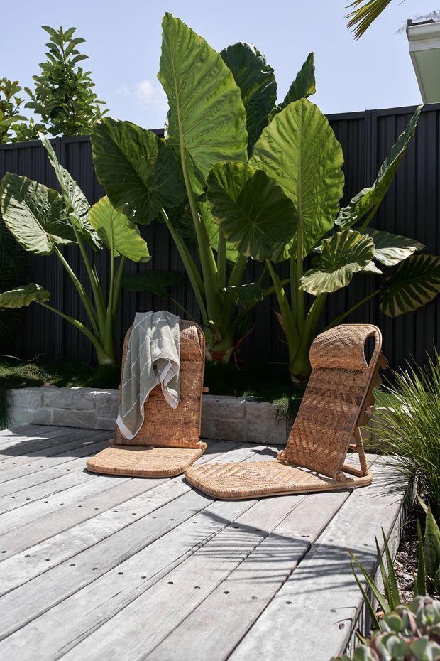 A bright outdoor patio deck with two woven rattan reclining lounge chairs positioned on weathered timber decking. Large tropical elephant-ear plants form a lush backdrop against a dark vertical privacy fence, with a low stone garden retaining wall and additional ornamental planting around the edges.