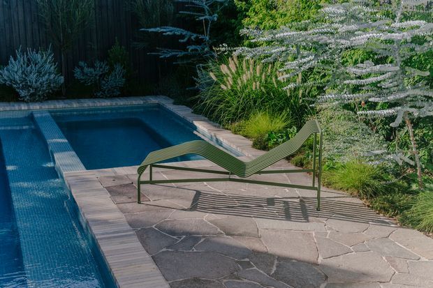 A landscaped outdoor pool area with a narrow rectangular swimming pool bordered by pale stone paving. A sculptural green slatted chaise lounge sits on the patio, surrounded by dense ornamental grasses, shrubs, and mature planting against a dark timber privacy fence. The scene has a refined, natural garden atmosphere with strong sunlight and shadows.