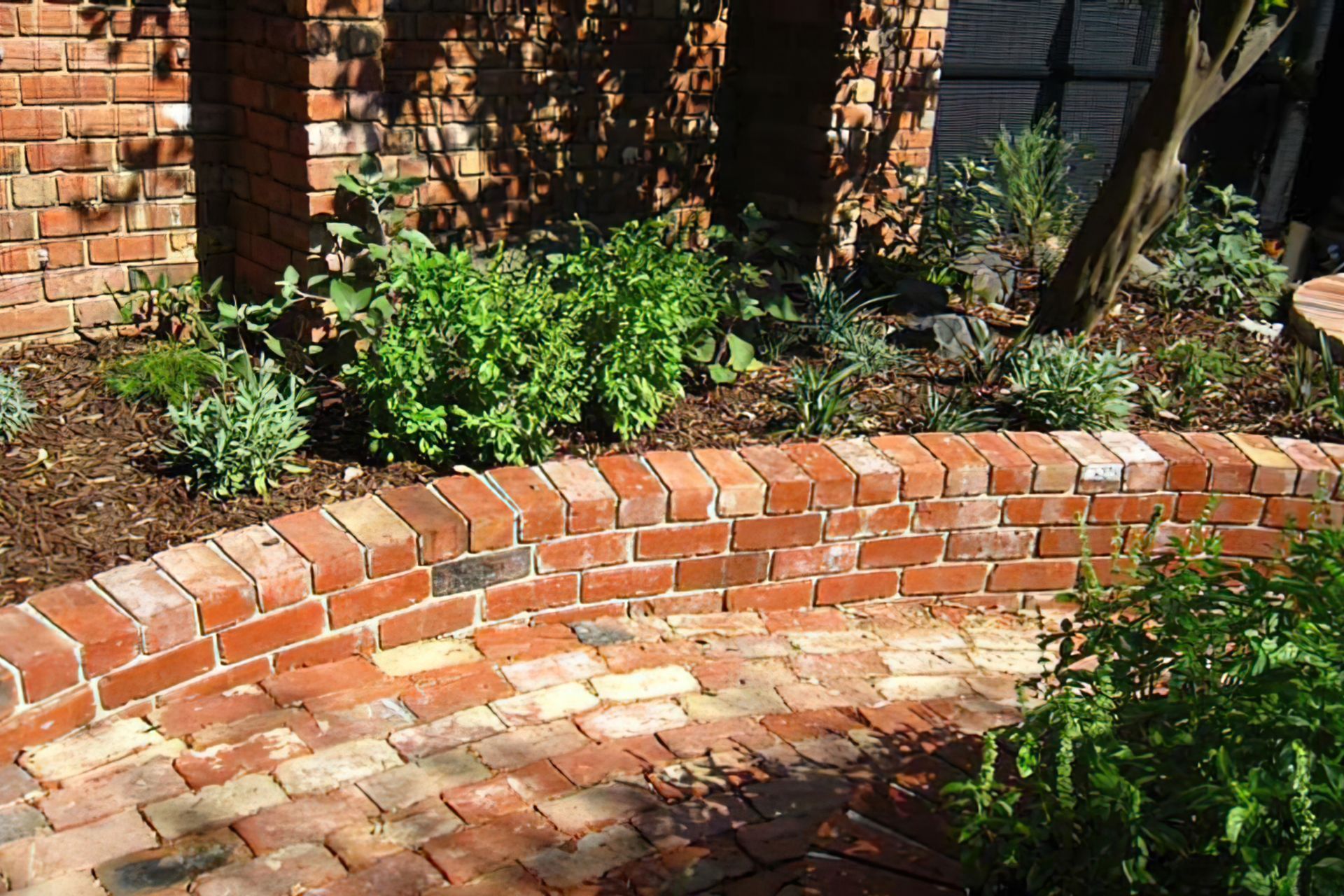 Under the lemon tree AFTER design