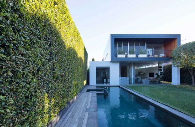 Contemporary two-storey residence viewed from the landscaped rear garden, with a long rectangular swimming pool, timber pool deck, extensive clipped hedge screening, white rendered walls, dark-framed glazing, and a projecting upper-level box with warm timber-lined soffit and balcony. The open ground floor connects visually to the garden and pool area.