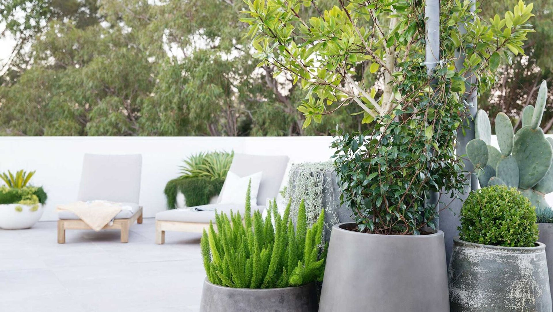 Dee Why Rooftop banner