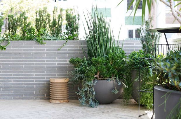 A bright landscaped terrace or courtyard featuring large dark planters filled with layered greenery, a low grey brick privacy wall, pale tiled or concrete paving, and a slim black metal outdoor table or stand. A timber-toned cylindrical decorative element and glimpses of a light-coloured building are visible in the background.