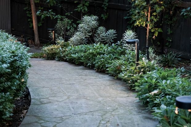 A landscaped garden pathway paved with irregular natural stone slabs, curving through dense layered planting. Dark timber fencing, mature shrubs, small trees, silvery foliage, and low black garden lights create a secluded, lush outdoor setting.