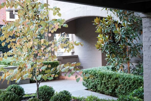 A landscaped residential courtyard viewed beneath a dark overhead structure, with clipped hedges, rounded shrubs, mature trees, and a paved path leading to a grey rendered brick facade. The building features a large arched opening, decorative window grille, and warm brick steps, creating a sheltered, formal garden setting.