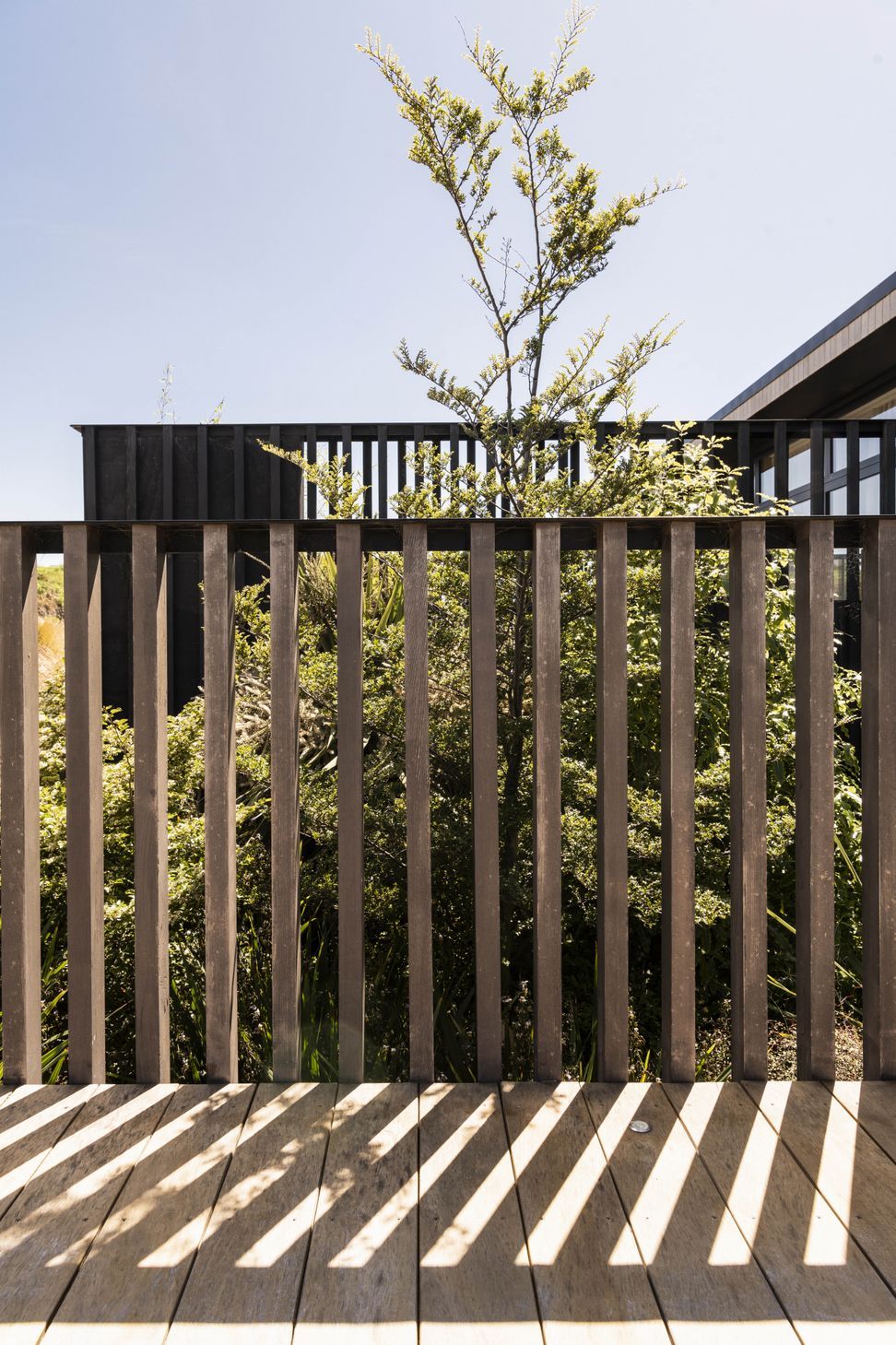 Moncks Bay Garden