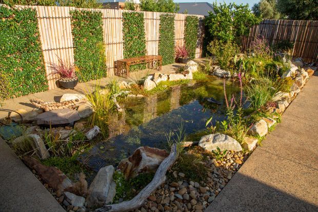 A landscaped courtyard garden featuring a naturalistic ornamental pond bordered by rocks, pebbles, grasses, reeds, and planted vegetation. Timber privacy screens and dense climbing greenery enclose the space, with a simple timber bench along the rear boundary and paved paths surrounding the pond.
