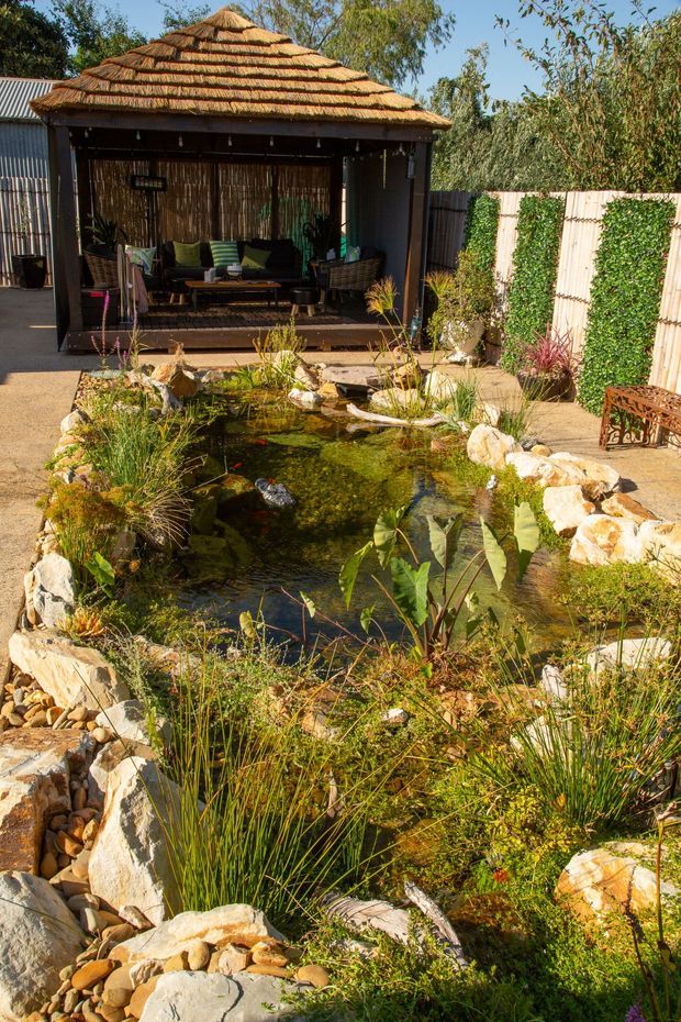 A landscaped backyard featuring a naturalistic pond with rocks, aquatic plants and ornamental grasses in the foreground. Behind it is a covered outdoor pavilion with a layered thatched roof, dark posts, bamboo screening and lounge seating. Fences, climbing greenery and garden planting create a private tropical-style retreat.
